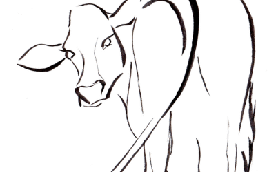What Does the Cow Give?